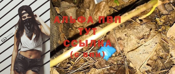 прущие грибы Армянск
