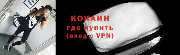 прущие грибы Армянск