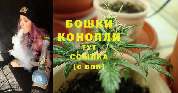 spice Арсеньев