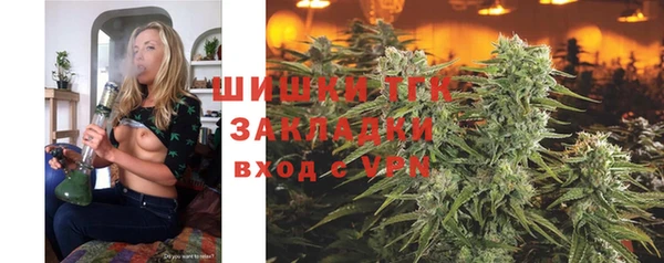 прущие грибы Армянск