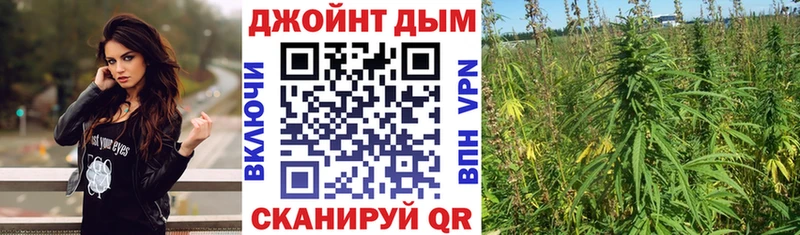 цена   Болгар  Канабис план 